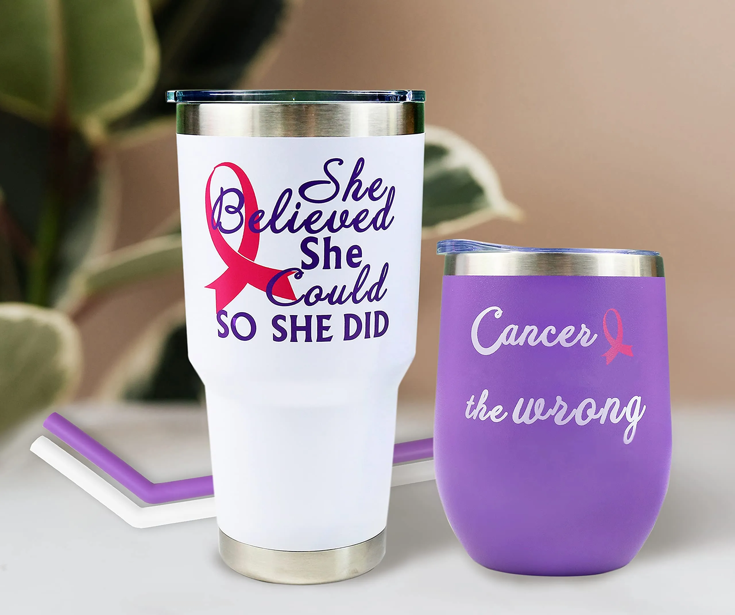 Breast Cancer Gifts for Women, Encouragement Gifts for Women, She Believed She Could So